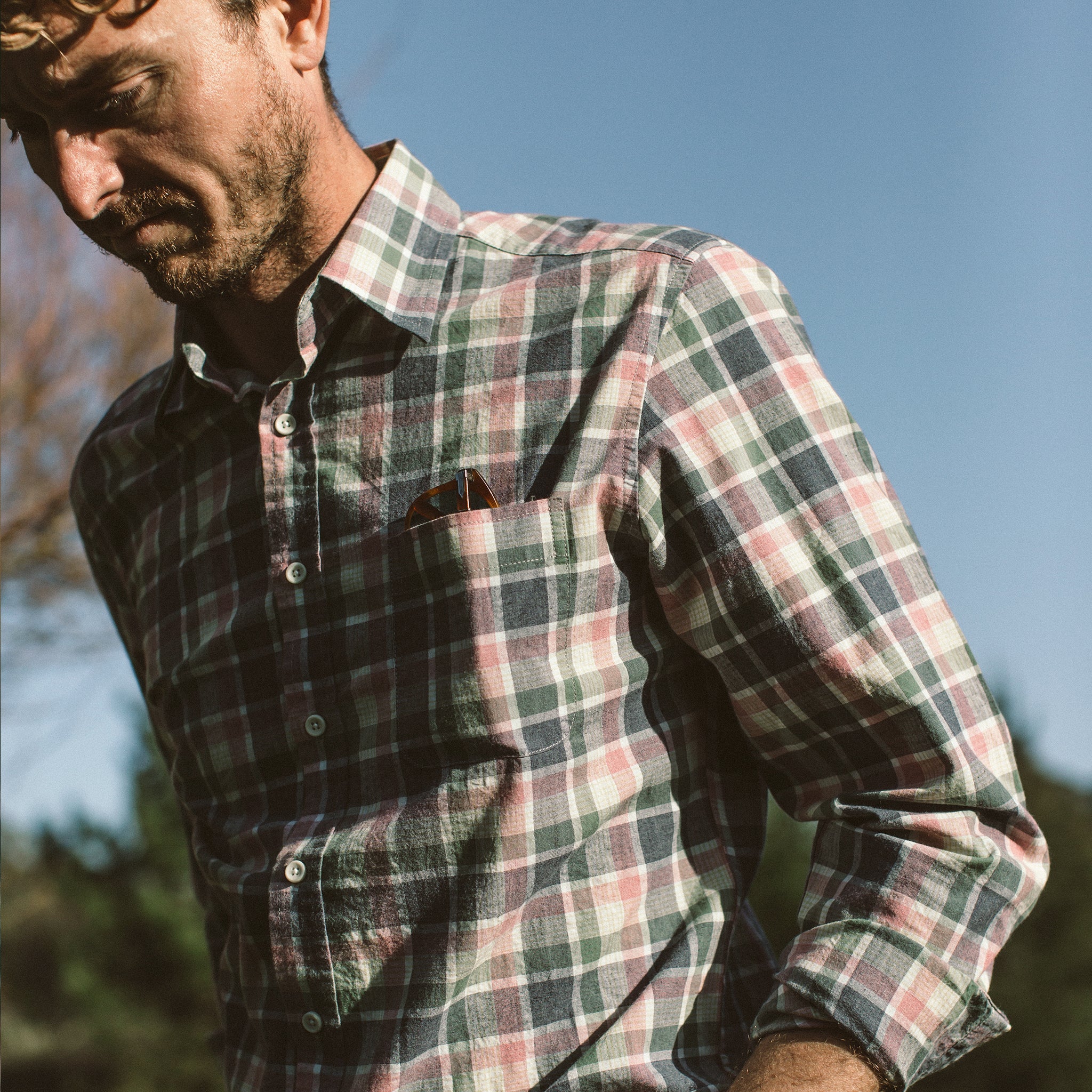 The California in Watermelon Madras