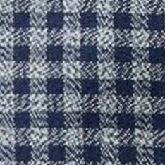 Marine Check Jacket X885