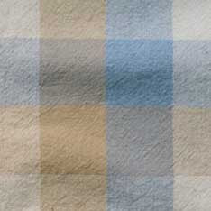 Blue Sky Check Craftsman Shirt N608