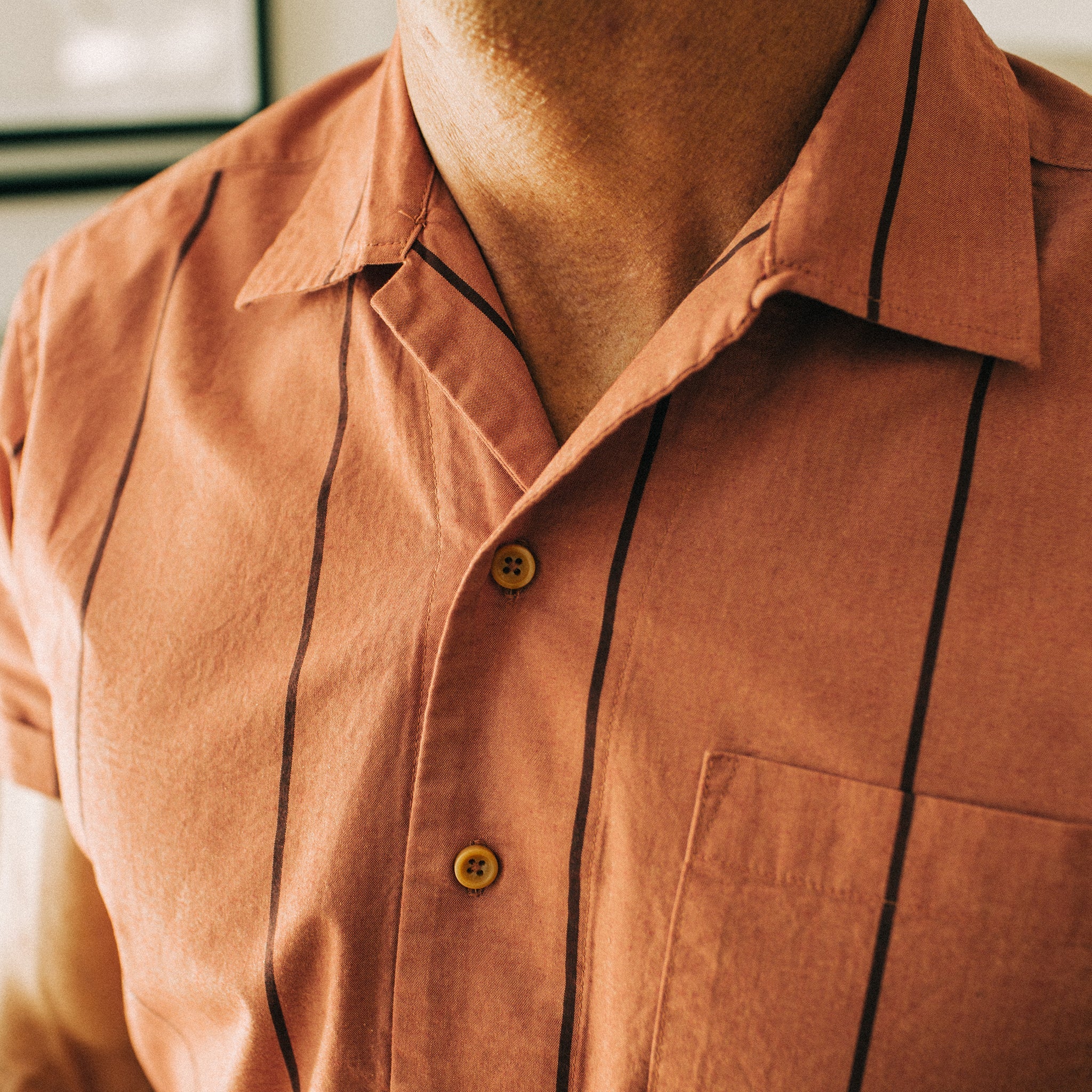 The Short Sleeve Hawthorne in Rust Stripe