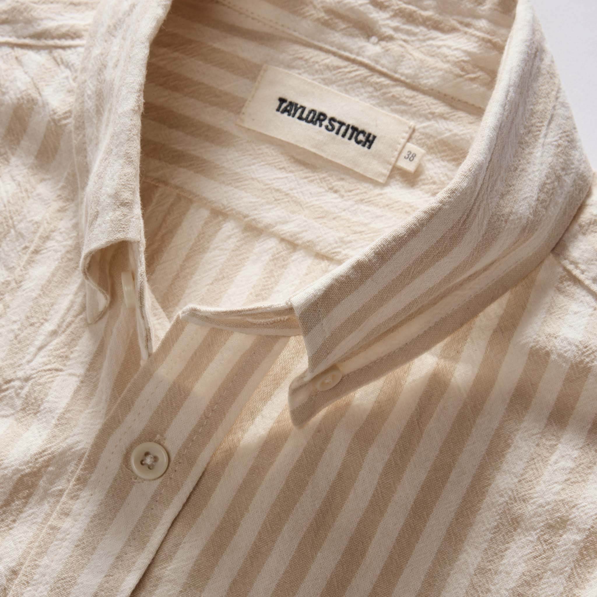 Dried Cacti Stripe C37436