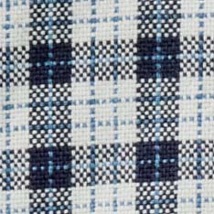 Indigo Micro Check Oxford Shirt P299025