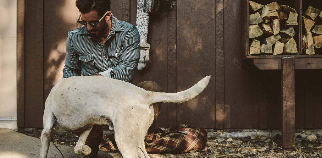 The Glacier Shirt in Hickory Stripe French Terry